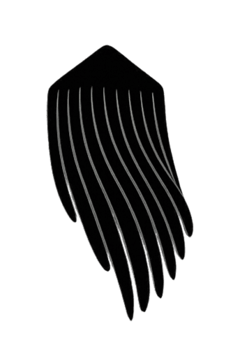 BeadFringeLab logo