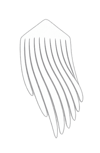 BeadFringeLab logo